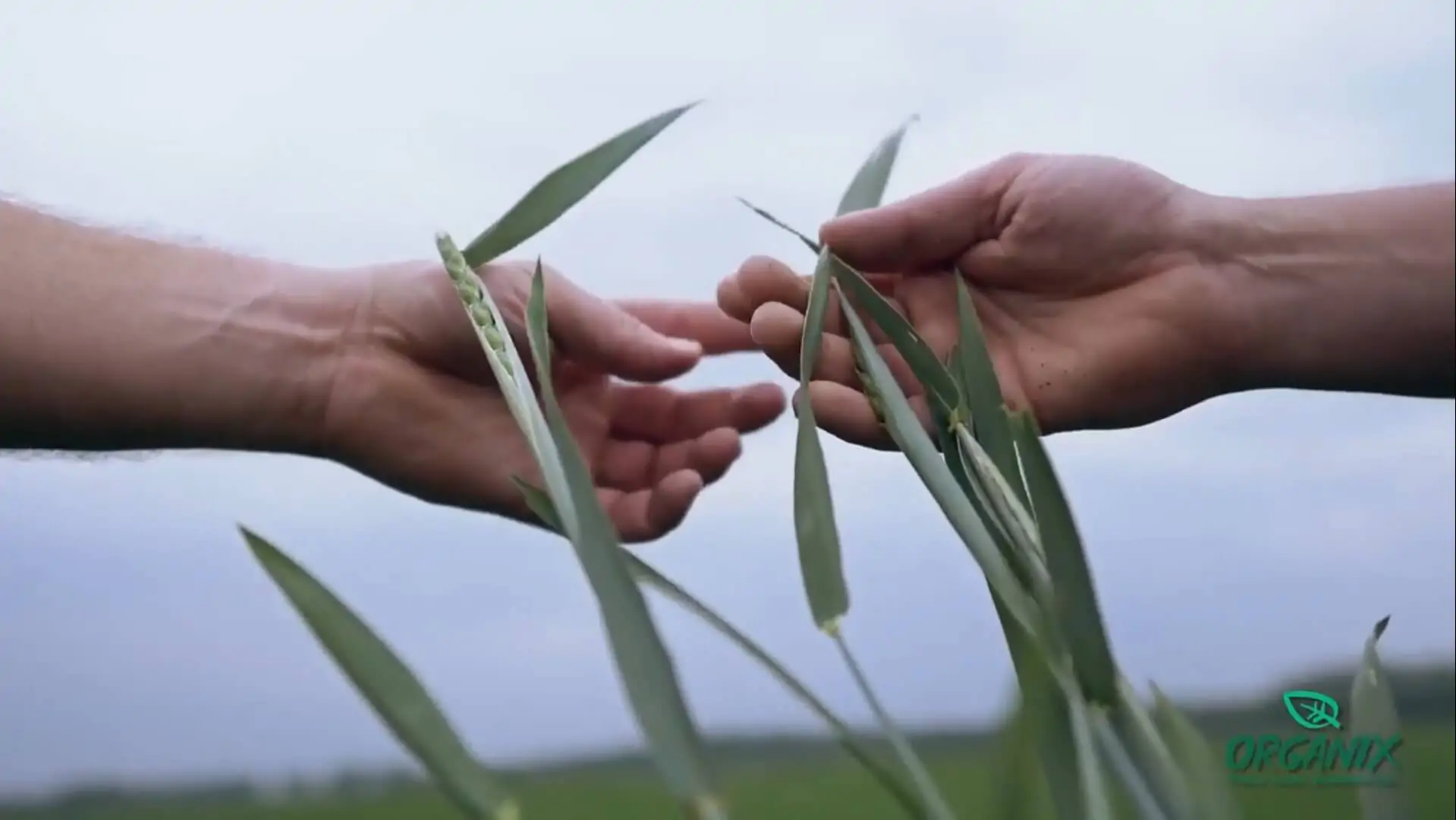 Use biostimulants and biofertilizers in Slovakia