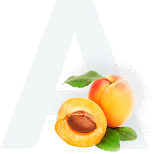 Apricot