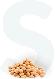 Soy