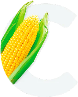 Corn