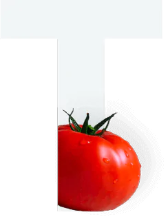 Tomatoes