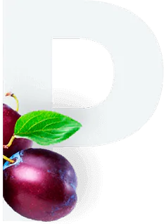 Plum