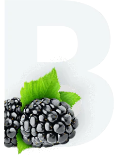 Blackberry