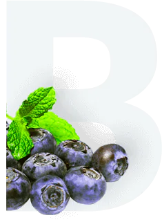 Blueberry