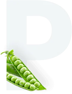 Pea