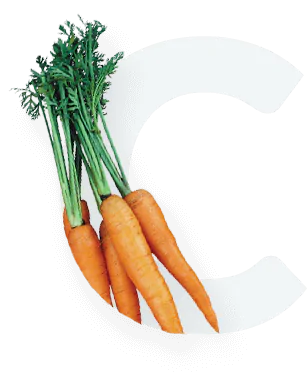 Carrot