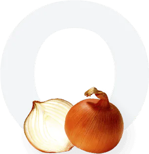 Onion