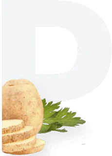 Potato