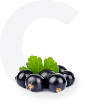 Currant