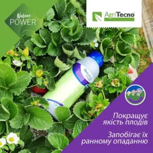 Засіб який покращує якість плодів
