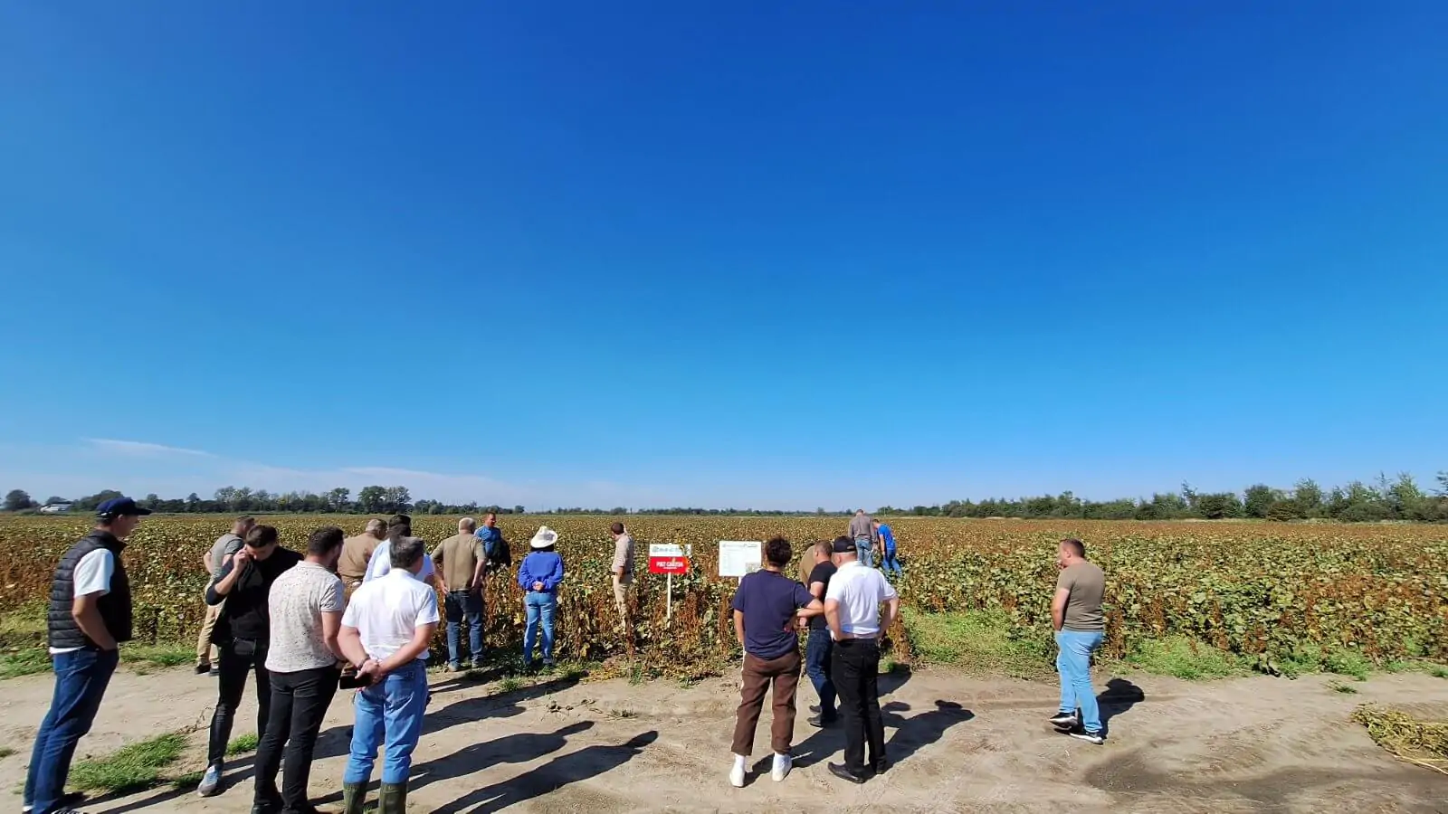 Як збільшити урожайність сої: День поля AgriTecno показав ефективні рішення для фермерів